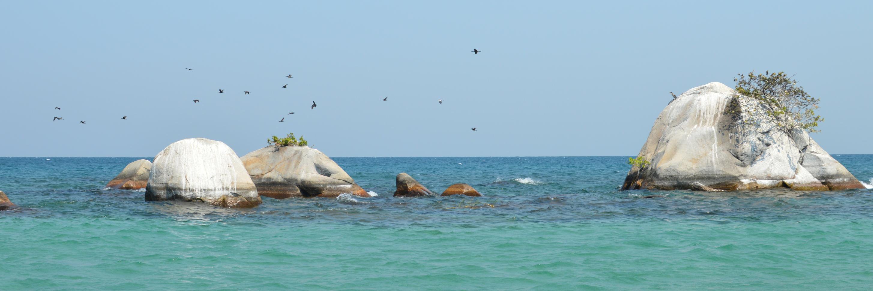 Katie Wagner @cewagnerlab.bsky.social banner