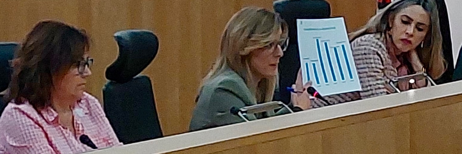 Mari Carmen Martinez banner