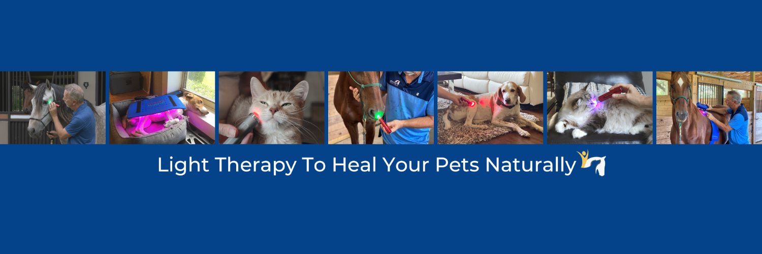 PhotonicHealth's profile banner image