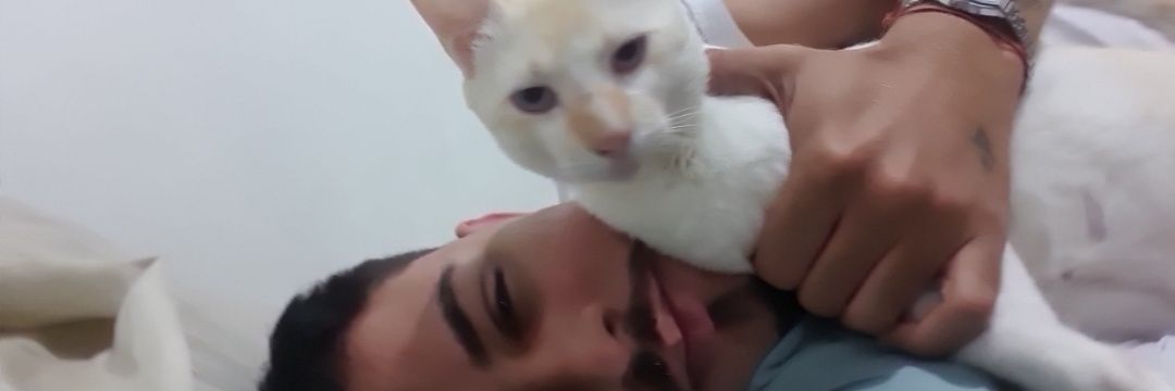 desaxtd's profile banner image