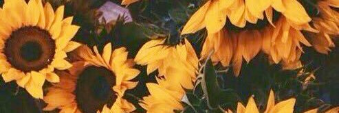 SayMyName_Bella's profile banner image