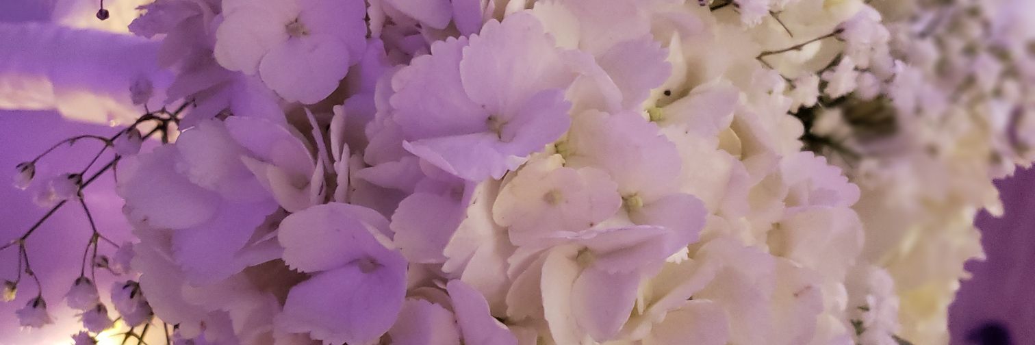 4anavasquez's profile banner image