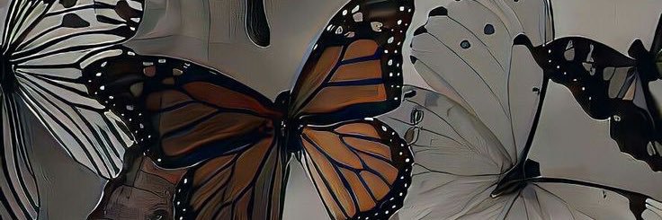_btibbss's profile banner image