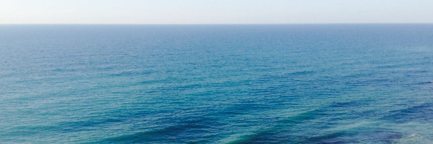 ninubasteri's profile banner image
