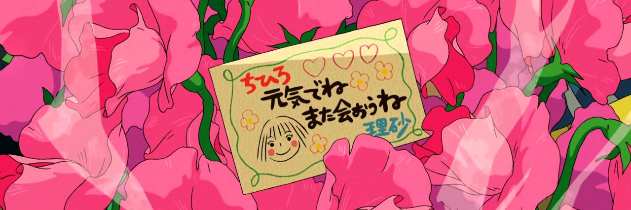soffcamara's profile banner image