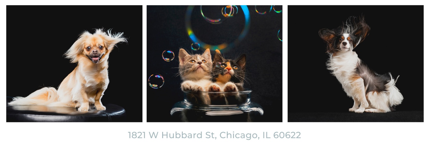 CusicPhoto's profile banner image