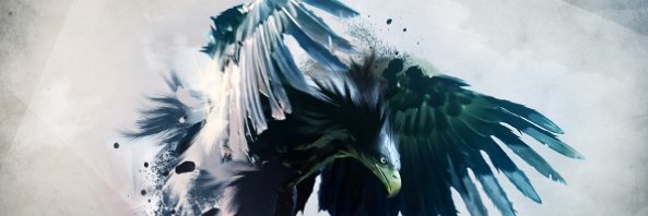 divakarrai's profile banner image