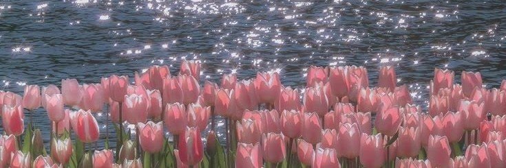 playdayoff's profile banner image
