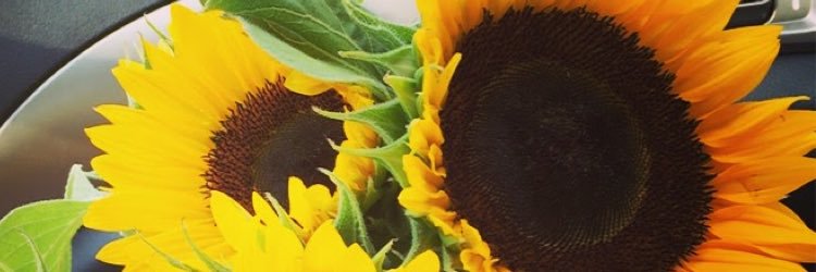 jrochelle_'s profile banner image