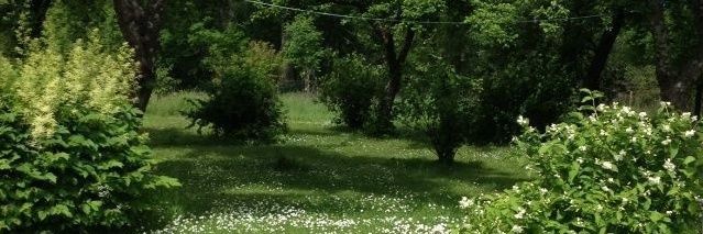 ؘ banner