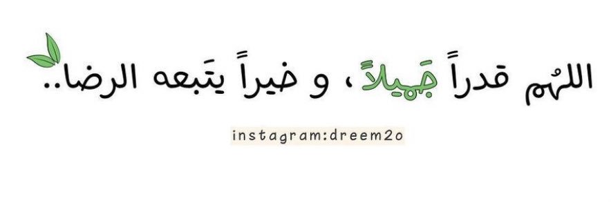 Mayar__Mohammed's profile banner image