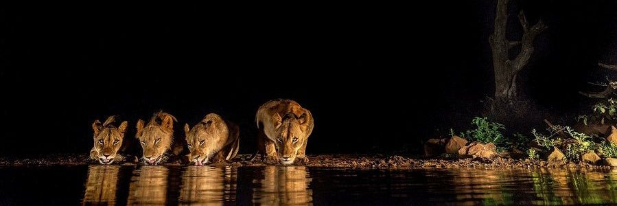 Gathogo_'s profile banner image