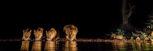 Gathogo_ Profile Banner