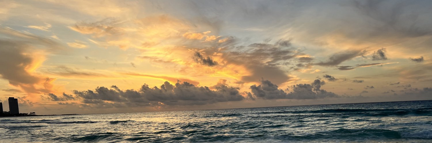 lexii_H23's profile banner image
