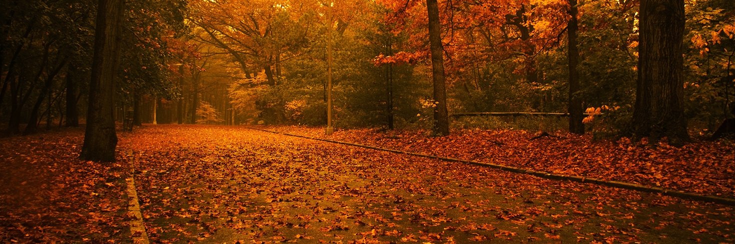 Leebo508's profile banner image