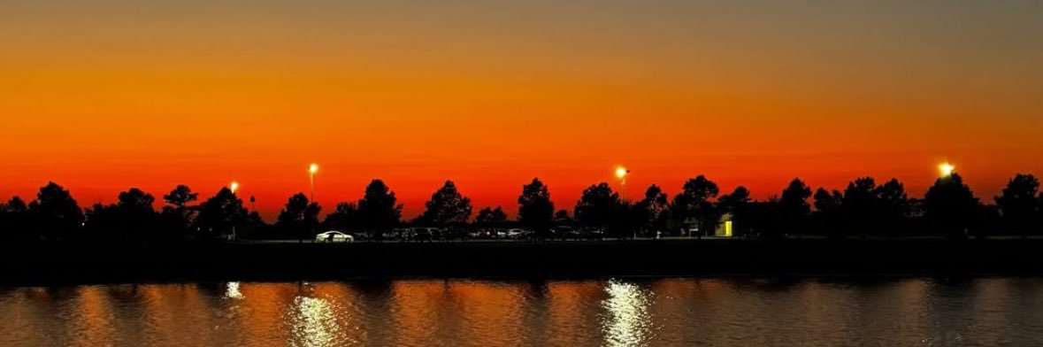 ✧･ﾟ ･ﾟ✧ banner