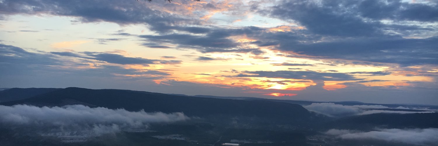 abbeymsimms's profile banner image