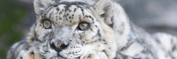 tutticontenti Profile Banner