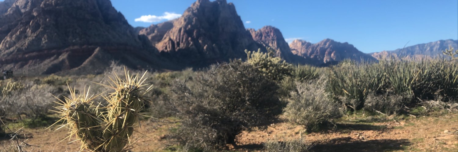 Katelyn Newberg banner