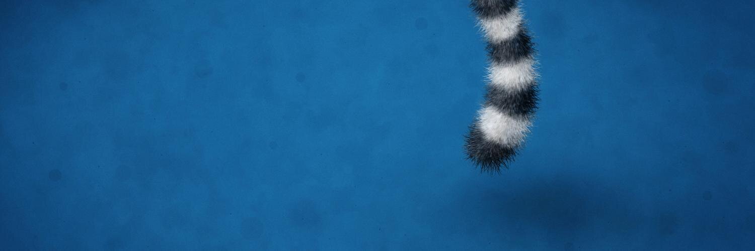 bsdkid's profile banner image
