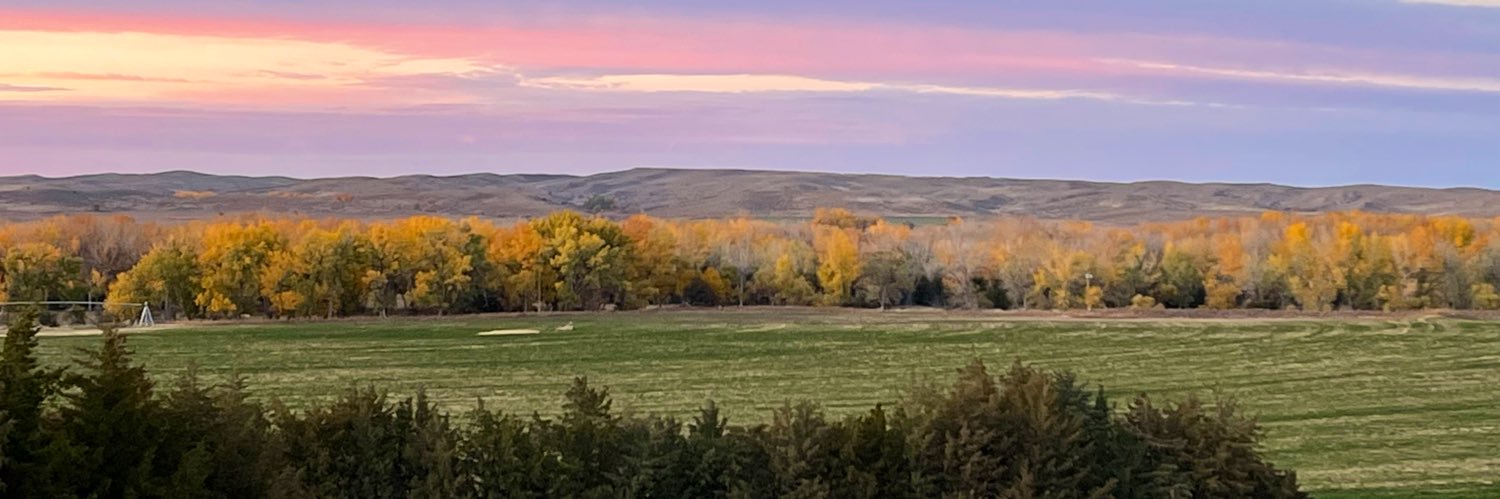 SandhillsSmiles's profile banner image