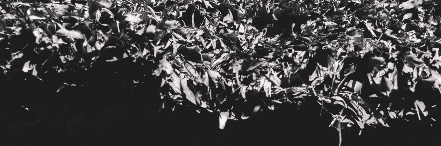 funmism's profile banner image