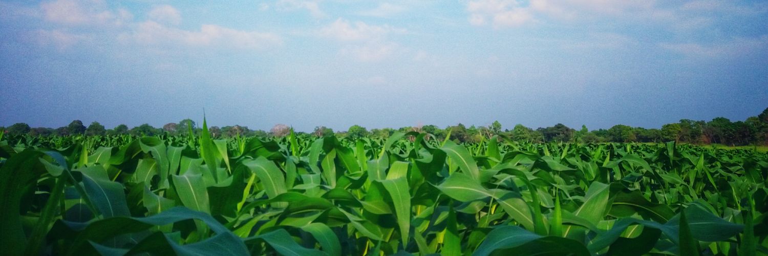Isurumalaka's profile banner image
