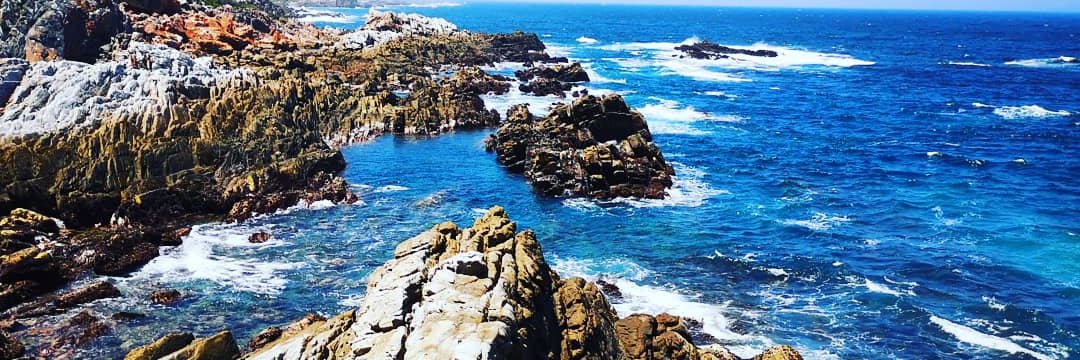 Waylon Leon Smit banner