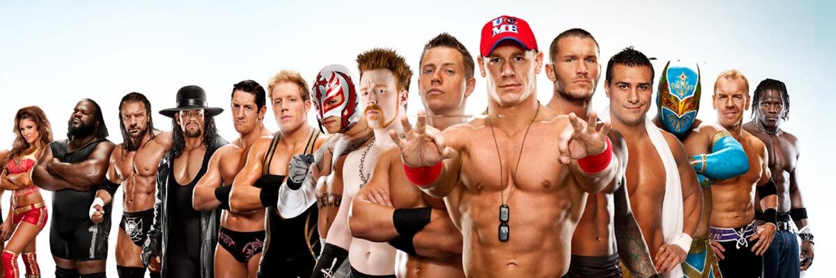 WWE Wrestling Fans banner