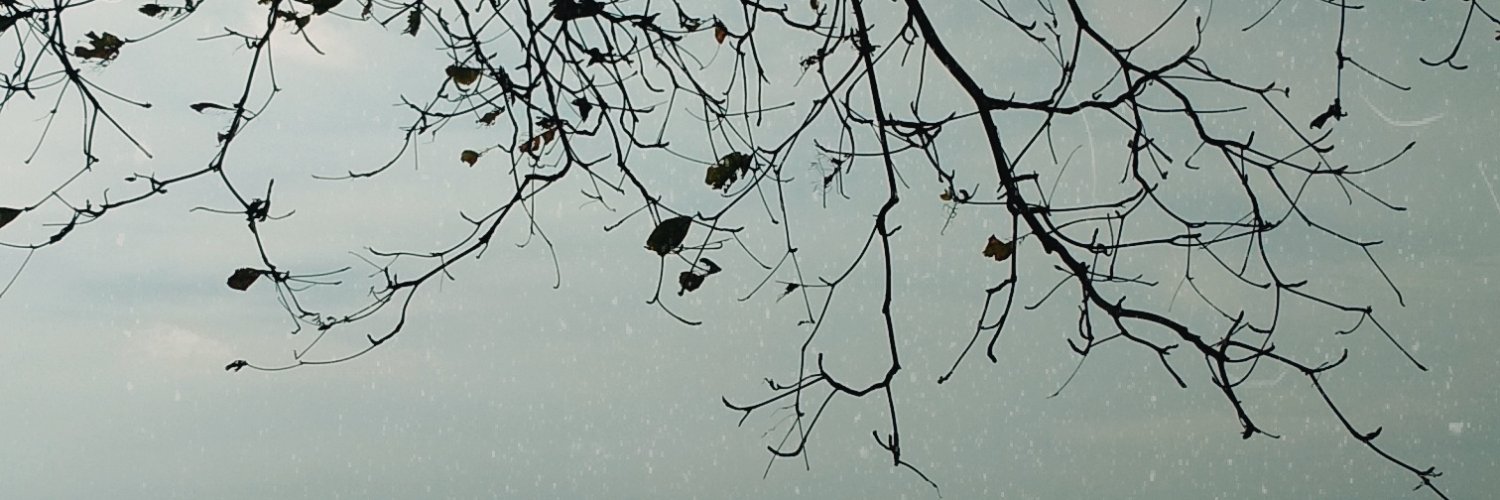 marmarisaaa's profile banner image