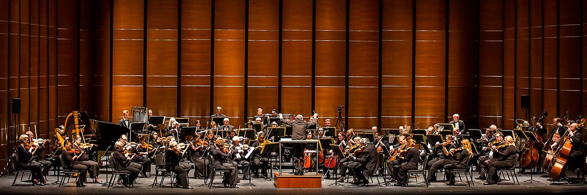 Austin Symphony Orchestra banner