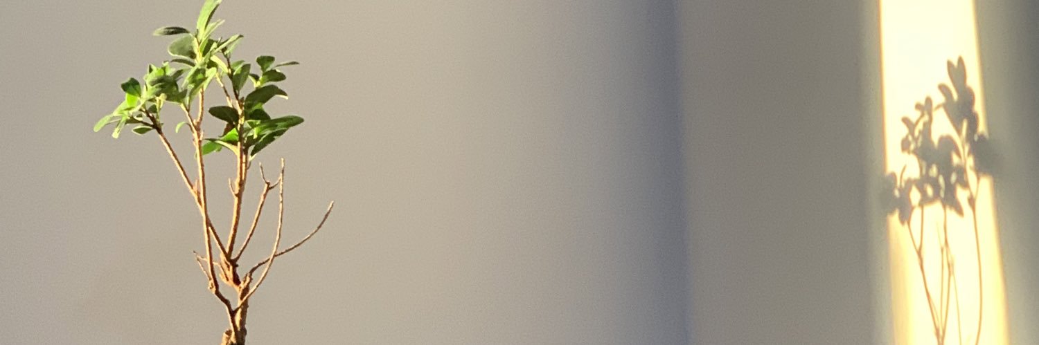 MoeinDanA's profile banner image