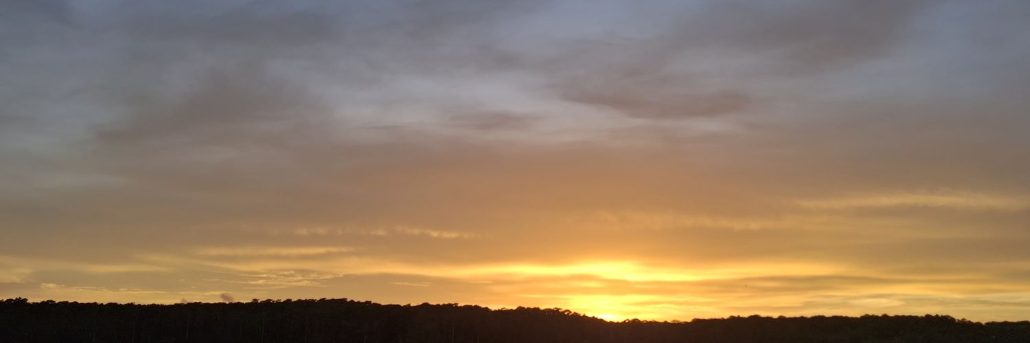 Miss Colleen Polmateer🏁🏁🏁🏁 banner