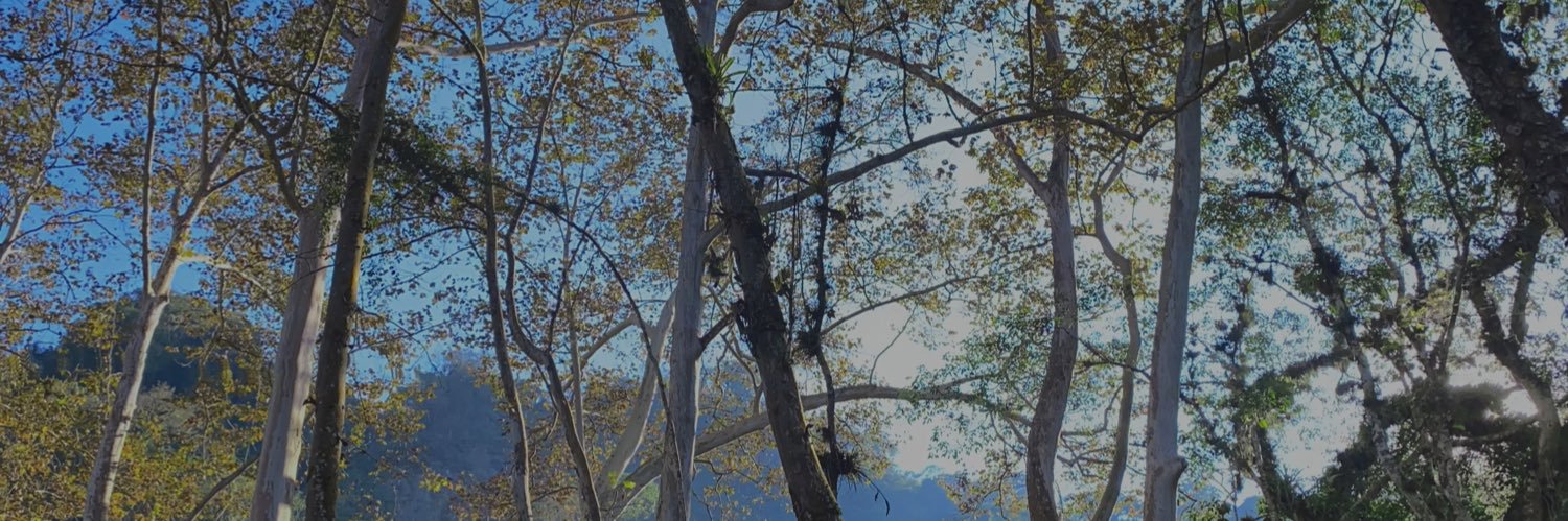 AlejndraRosas's profile banner image