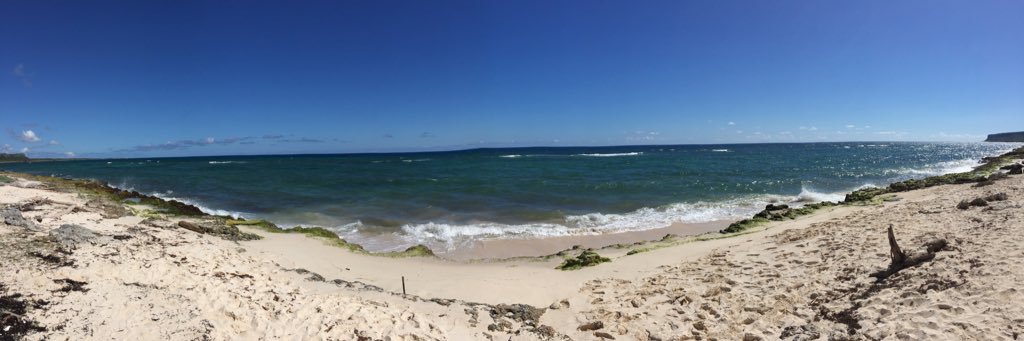 Josh Andrajack banner