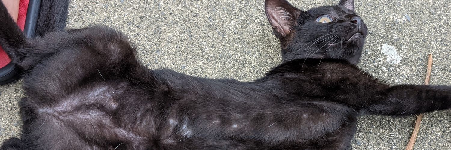 いなぺっちん banner