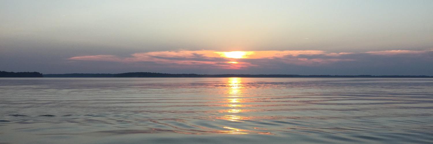 Dave Baumgardner banner