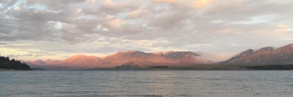 RiaProvin's profile banner image