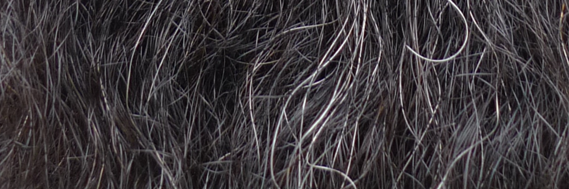 beardshirtsuk's profile banner image