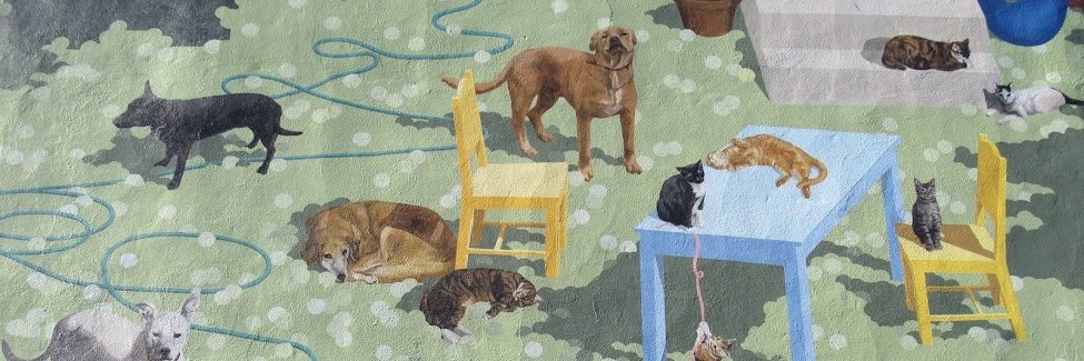 MorrisAnimal's profile banner image