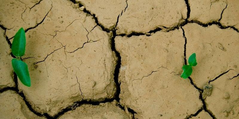 futurestartup banner