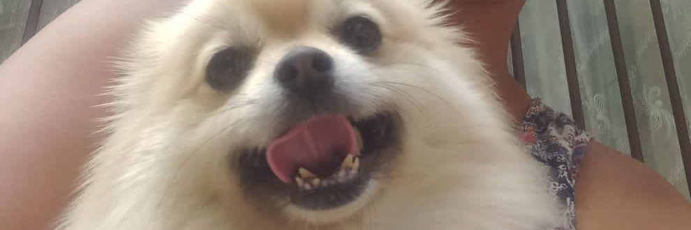 MsKeaIAm's profile banner image