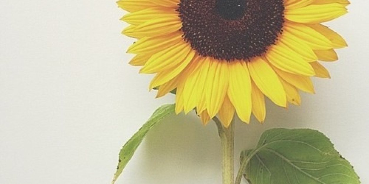 mildmhk's profile banner image