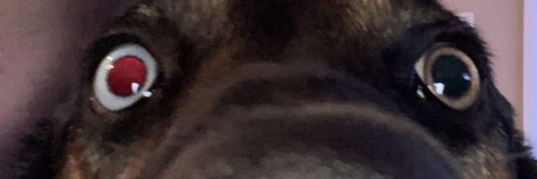 monkeykings5's profile banner image
