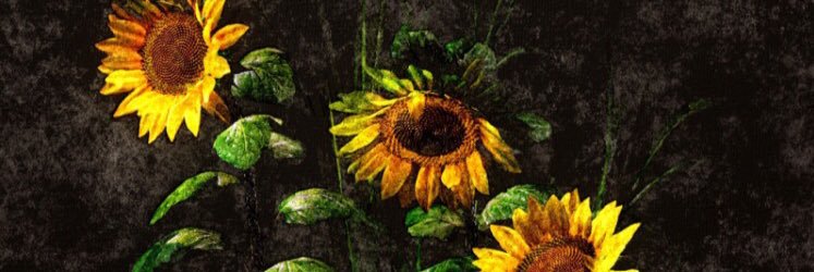 charmitson's profile banner image