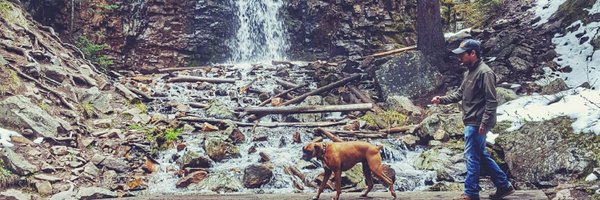 Korbit Profile Banner