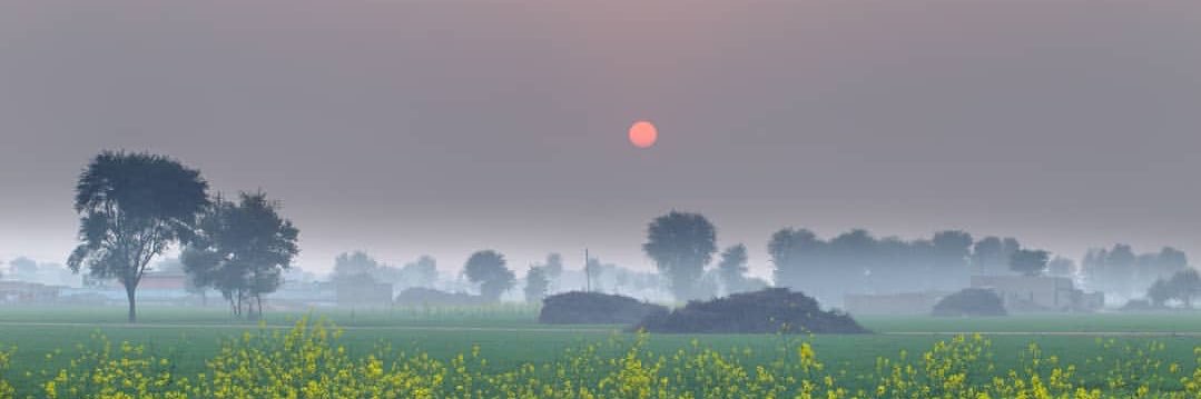 drlaadla's profile banner image