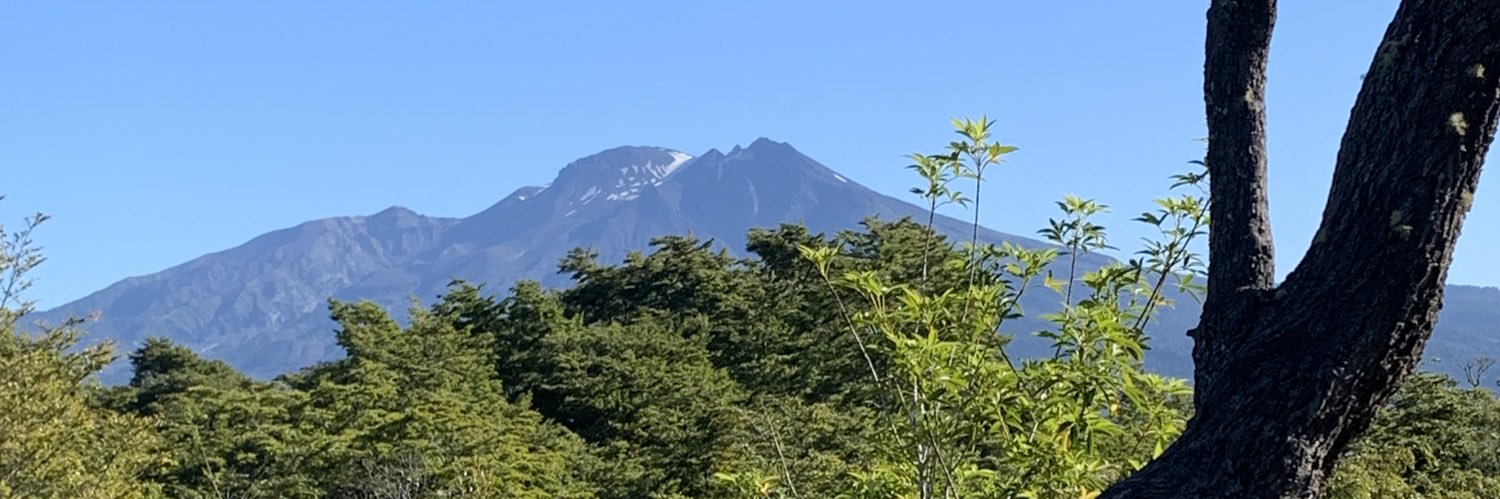 🇨🇱Norpatagonico🌳🪓 🐍 banner