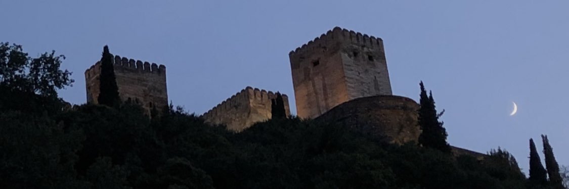rorrichi's profile banner image