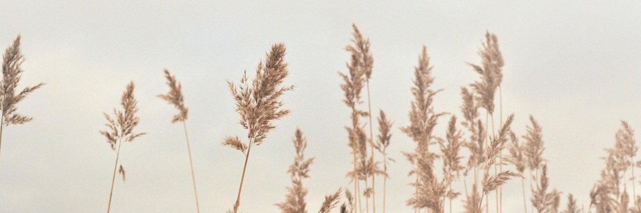 Kaaaaaameee's profile banner image
